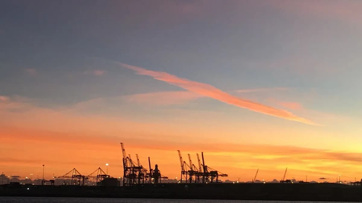 Hồ Sơ 78V-0YAKTCZ: Chờ Nguồn Đối Chiếu